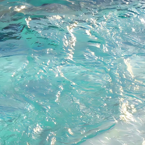 国产色情免费AAAAAAA片
